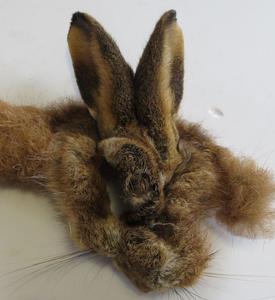 Hare Mask - Feathergirl