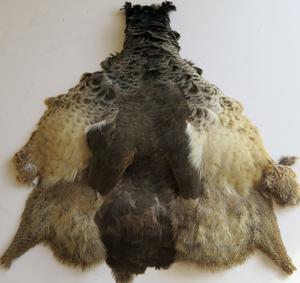 Products: Peahen Pelt - Feathergirl