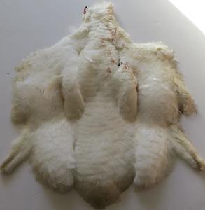 Products: White Turkey Pelt - Feathergirl