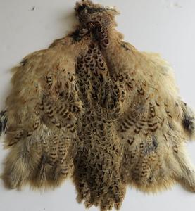 Hen Pheasant Pelt - Feathergirl
