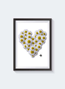 Prints: Daisy Love