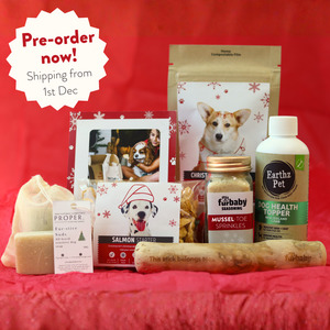 Dog: Christmas Dog Box