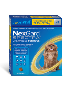 Nexgard Spectra SINGLE