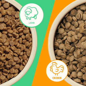 Dog: Chicken & Lamb Dog Food Mix Box
