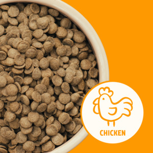 Chicken Dog Food