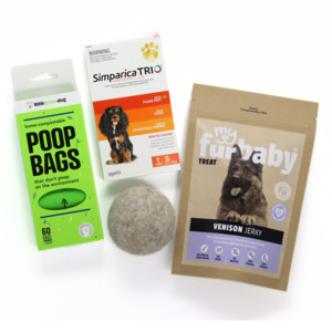 Puppy Starter Pack - M