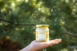 Local Produce: Forage & Gold Kamahi Honey