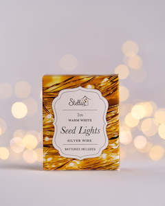 Candles: 2m Plug Sliver WW 20 LED Seed Light String