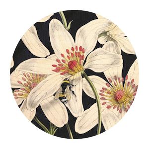 Clematis Cosmetic Mirror
