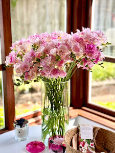 Soft Pink Freesia - Fei's Blossom