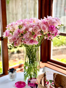 Products: Soft Pink Freesia - Fei's Blossom