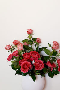 Products: Red Garden Roses - Fei's Blossom