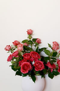 Products: Red Garden Roses - Fei's Blossom