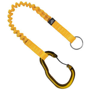 Palm: PALM COWTAIL  INC CARABINER