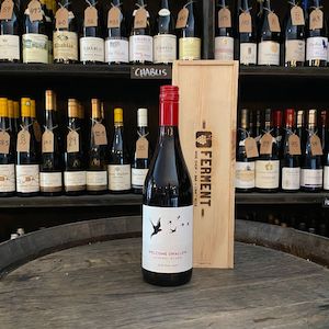 Welcome Swallow Pinot Noir 2022 Otago