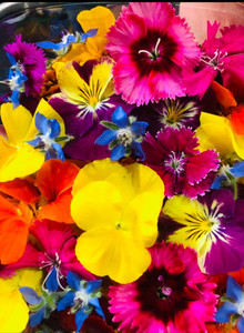 Products: Edible Flowers - 30+ fresh blooms Fernside Microfarm