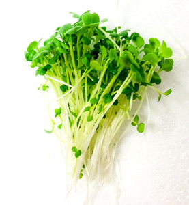 Broccoli Micro Fernside Microfarm