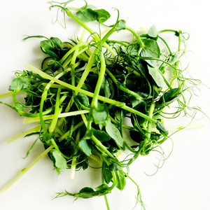 Products: Pea Micro Fernside Microfarm