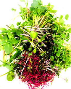 Products: Micro Subscription 240g Fernside Microfarm