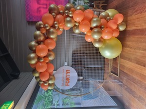 Products: ON SPECIAL - Balloon Garland, frame and custom print board package