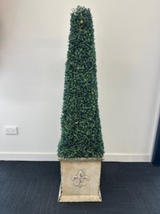 Products: Planters with fairy lights