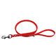 Red Clip Lead - Biothane Fetch Gear