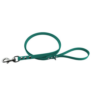 Products: Teal Clip Lead - Biothane Fetch Gear