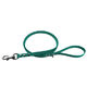 Teal Clip Lead - Biothane Fetch Gear