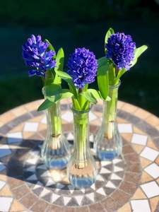 Products: Bud vase.