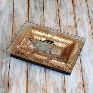 NZ Made Glass Rimu Soap/Jewelry Dish Shells - Copper