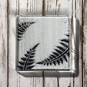 Coasters: NZ Made Glass Coaster Ferns - Single in display box