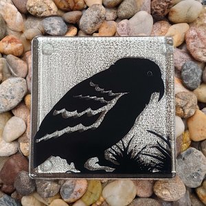 Coasters: NZ Made Glass Coaster Kea - Single in display box