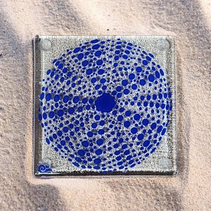 NZ Made Glass Coaster Kina - Royal Blue - Single in display box