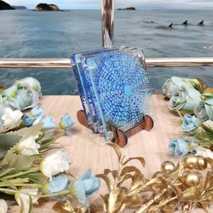 Coloured Print: NZ Made Glass Coasters Kina - Blue - 4Pk w/stand