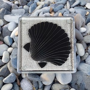 Coater Singles: NZ Made Glass Coaster Scallop - Black - Single in display box