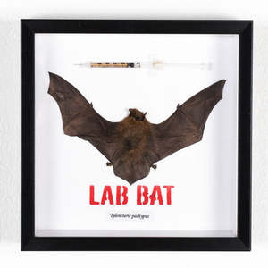 Component Living In A Loop: Component - A Winged Witness