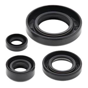 Oil Seal Kit 822195