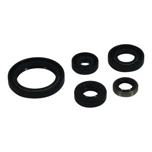 Oil Seal Kit 822380