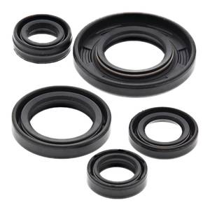 Engine: Oil Seal Kit 822240