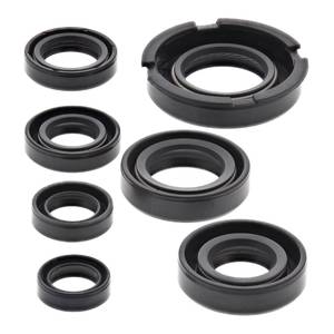 Engine: Oil Seal Kit 822219