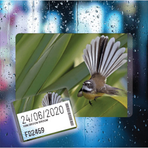 Featured: Piwakawaka