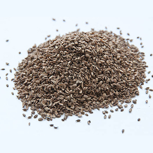 Carrot Seed Essential Oil