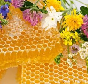 Products: Beeswax Absolute