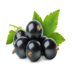 Products: Blackcurrant Absolute