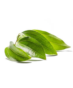Cinnamon Leaf Essential Oil