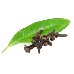 Products: Clove Leaf Essential Oil