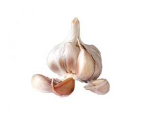 Products: Garlic Essential Oil