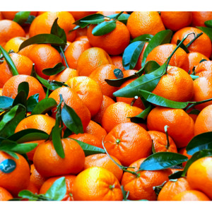 Products: Mandarin Red Essential Oil