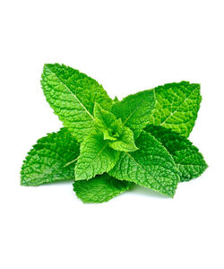 Products: Spearmint Essential Oil