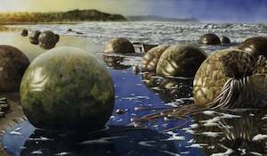 Print: "Moeraki Boulders" - Paul Coney
